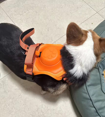 Szelki dla psa z miękką smyczą, regulowane, dla dużych psów, z automatycznym zwijaczem na plecach, antypoślizgowe.